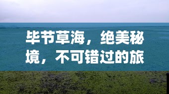 畢節(jié)草海，絕美秘境，不可錯過的旅游攻略！