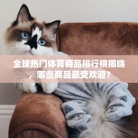 全球熱門體育商品排行榜揭曉，哪些商品最受歡迎？