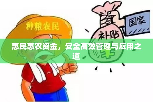 惠民惠農(nóng)資金，安全高效管理與應(yīng)用之道