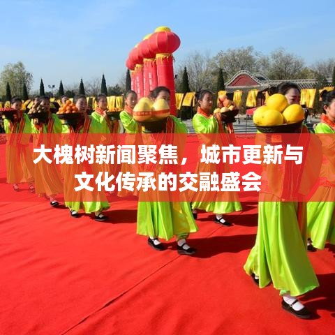 大槐樹新聞聚焦，城市更新與文化傳承的交融盛會