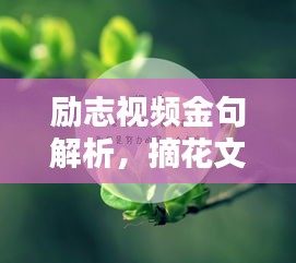 貌美如花 第3頁