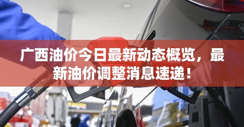 廣西油價(jià)今日最新動(dòng)態(tài)概覽，最新油價(jià)調(diào)整消息速遞！