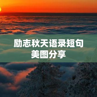 百鳥朝鳳 第2頁(yè)