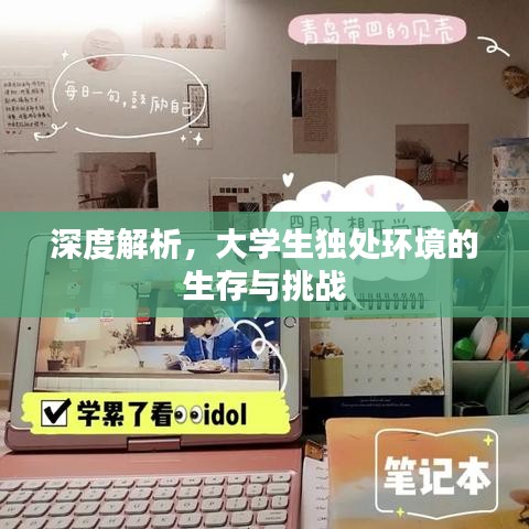 深度解析，大學(xué)生獨(dú)處環(huán)境的生存與挑戰(zhàn)