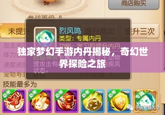 獨(dú)家夢幻手游內(nèi)丹揭秘，奇幻世界探險(xiǎn)之旅