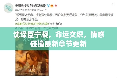 沈澤臣寧凝，命運(yùn)交織，情感碰撞最新章節(jié)更新