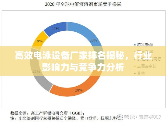 高效電泳設(shè)備廠家排名揭秘，行業(yè)影響力與競爭力分析