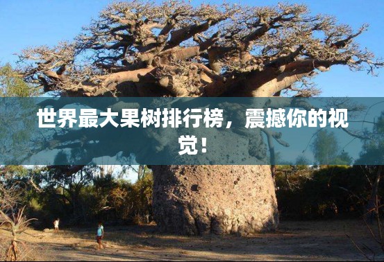 世界最大果樹排行榜，震撼你的視覺！