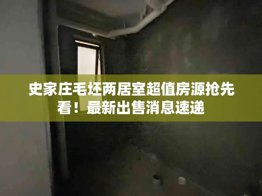 史家莊毛坯兩居室超值房源搶先看！最新出售消息速遞