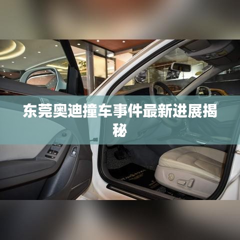 東莞奧迪撞車(chē)事件最新進(jìn)展揭秘