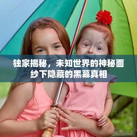 獨家揭秘，未知世界的神秘面紗下隱藏的黑幕真相
