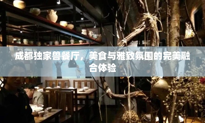 成都獨家獸餐廳，美食與雅致氛圍的完美融合體驗