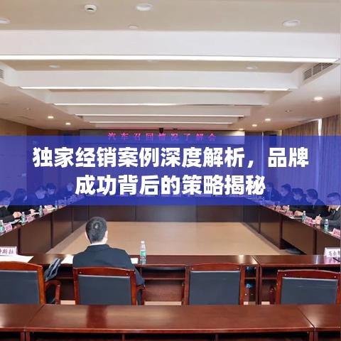 獨家經(jīng)銷案例深度解析，品牌成功背后的策略揭秘