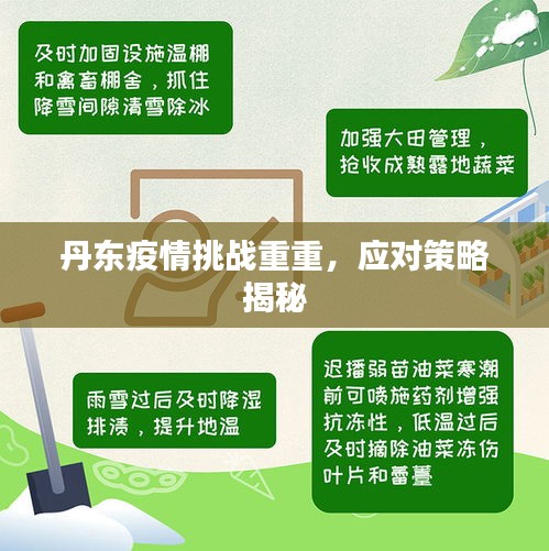 丹東疫情挑戰(zhàn)重重，應(yīng)對(duì)策略揭秘