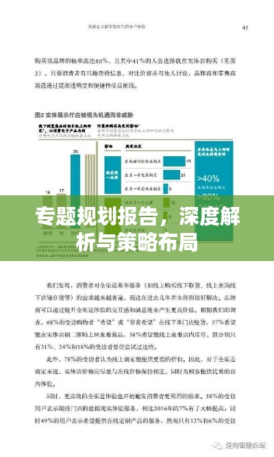 專題規(guī)劃報(bào)告，深度解析與策略布局