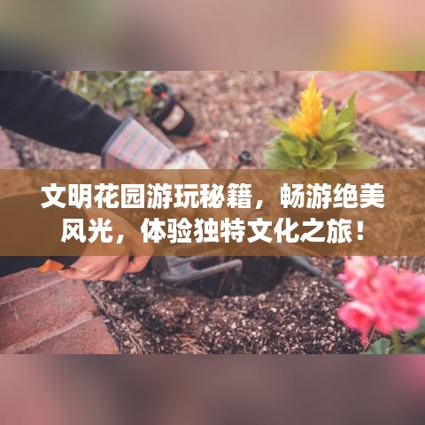 文明花園游玩秘籍，暢游絕美風(fēng)光，體驗(yàn)獨(dú)特文化之旅！