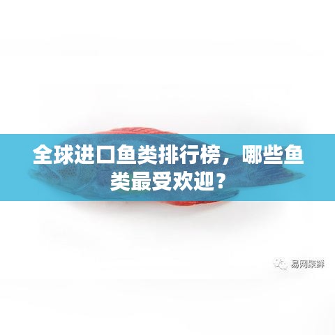 全球進(jìn)口魚類排行榜，哪些魚類最受歡迎？