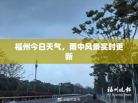福州今日天氣，雨中風(fēng)景實(shí)時(shí)更新