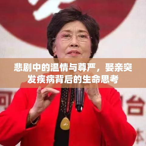 悲劇中的溫情與尊嚴，娶親突發(fā)疾病背后的生命思考