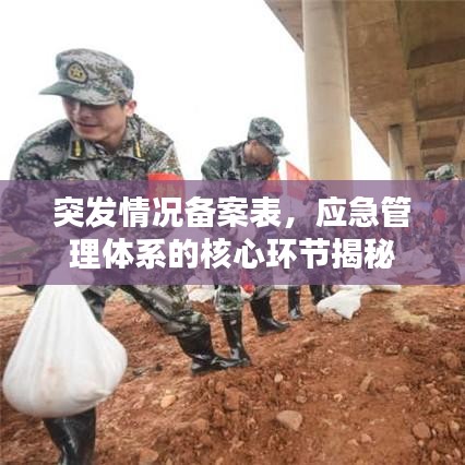 突發(fā)情況備案表，應(yīng)急管理體系的核心環(huán)節(jié)揭秘
