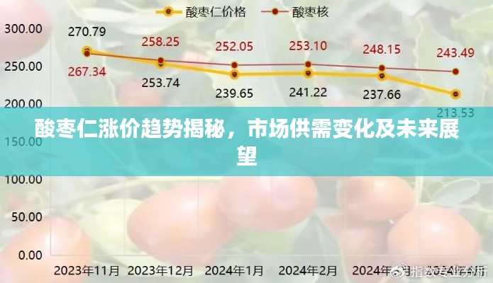 酸棗仁漲價趨勢揭秘，市場供需變化及未來展望