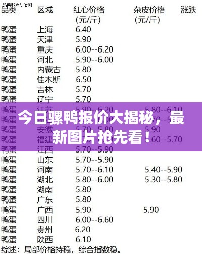 今日騾鴨報價大揭秘，最新圖片搶先看！