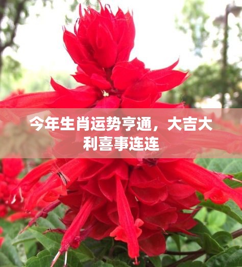 國色天香 第2頁