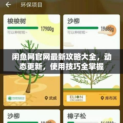閑魚網官網最新攻略大全，動態(tài)更新，使用技巧全掌握