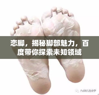 戀腳，揭秘腳部魅力，百度帶你探索未知領(lǐng)域