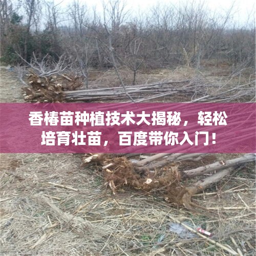 衣無(wú)二彩 第2頁(yè)