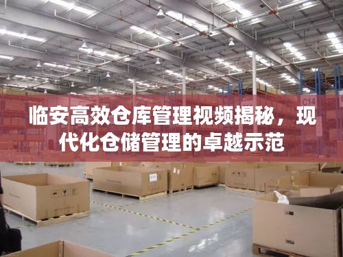 臨安高效倉庫管理視頻揭秘，現(xiàn)代化倉儲管理的卓越示范
