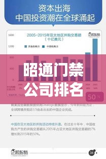 昭通門禁公司排名揭秘，行業(yè)深度分析與趨勢(shì)解讀