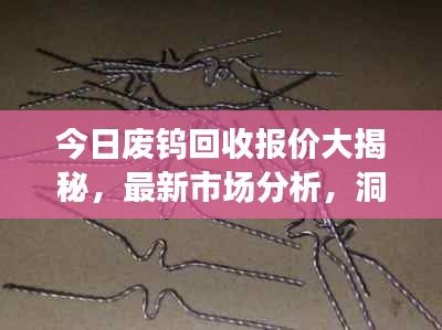 今日廢鎢回收報(bào)價(jià)大揭秘，最新市場分析，洞悉市場動態(tài)！