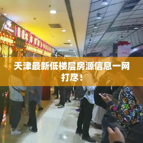 天津最新低樓層房源信息一網(wǎng)打盡！