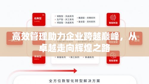 高效管理助力企業(yè)跨越巔峰，從卓越走向輝煌之路