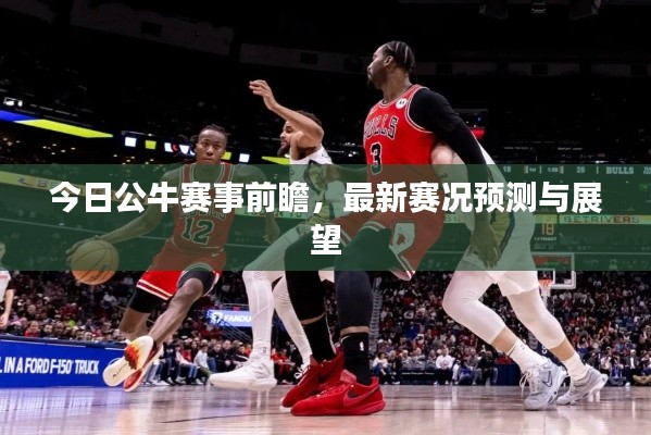今日公牛賽事前瞻，最新賽況預(yù)測(cè)與展望