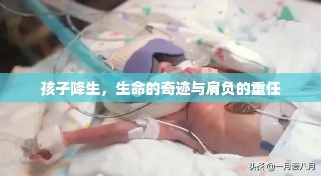 孩子降生，生命的奇跡與肩負的重任
