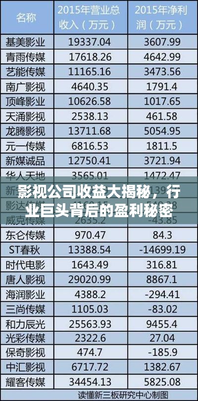 影視公司收益大揭秘，行業(yè)巨頭背后的盈利秘密排行榜！