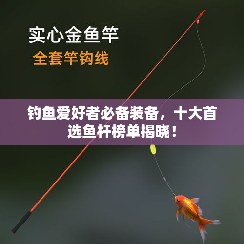 釣魚愛好者必備裝備，十大首選魚桿榜單揭曉！