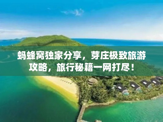 螞蜂窩獨家分享，芽莊極致旅游攻略，旅行秘籍一網打盡！