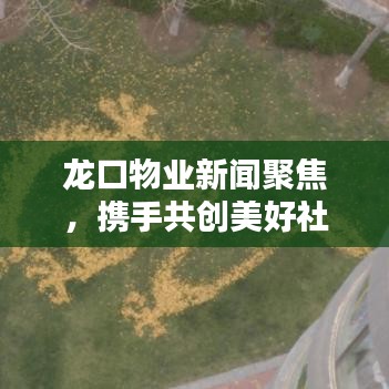 黑天摸地 第2頁