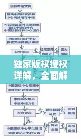 獨家版權授權詳解，全面解析+操作指南，快速查詢授權狀態(tài)！