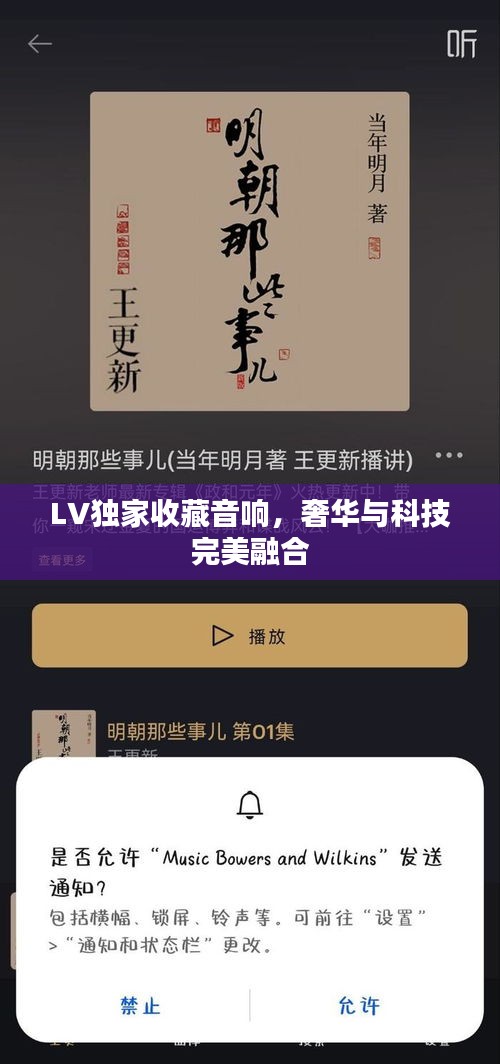 LV獨(dú)家收藏音響，奢華與科技完美融合