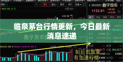 臨泉茅臺(tái)行情更新，今日最新消息速遞