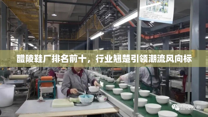 醴陵鞋廠排名前十，行業(yè)翹楚引領(lǐng)潮流風(fēng)向標(biāo)