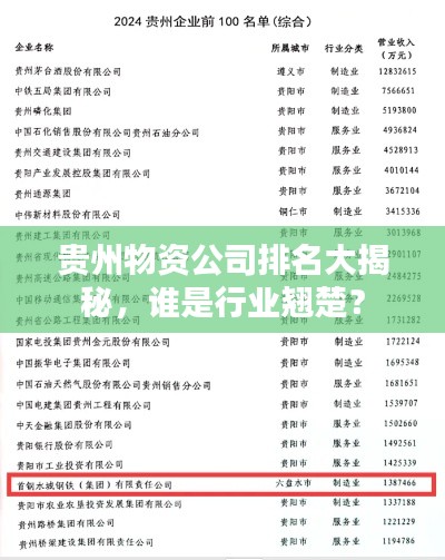 貴州物資公司排名大揭秘，誰是行業(yè)翹楚？