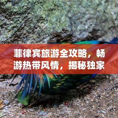 富貴不淫 第2頁