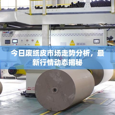 今日廢紙皮市場走勢分析，最新行情動態(tài)揭秘