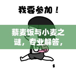 藜麥飯與小麥之謎，專業(yè)解答，百度知識一網(wǎng)打盡