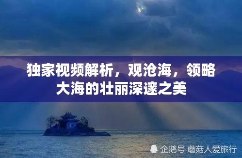 狗尾續(xù)貂 第2頁